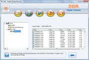 Digital camera data recovery software Screenshot
